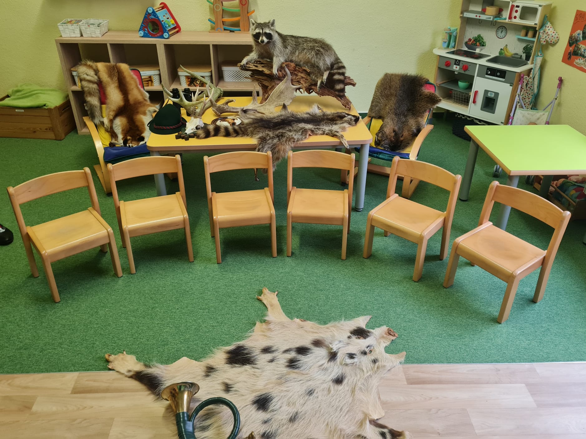 Bericht über den Wildtiervormittag in der Spatzengruppe der Kita Kinderland in Abtshagen