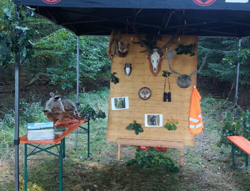 Herbstmarsch der Jugend- und Kinderfeuerwehren in der Gemeinde Wittenhagen